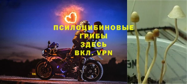ALPHA-PVP Богданович
