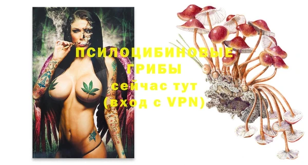 apvp Белоозёрский