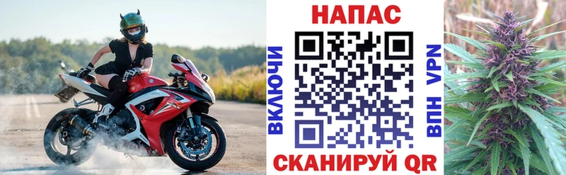 Конопля OG Kush  Бузулук 